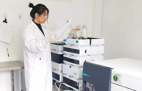 尊龙凯时人生就是搏(中国区)官方网站